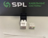 Розетка SPL RJ45 UTP cat.5e, М-45 (1 модуль) 22,5х45мм аналог Legrand